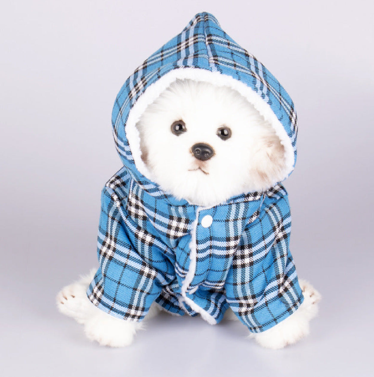 Items for your Fur Baby