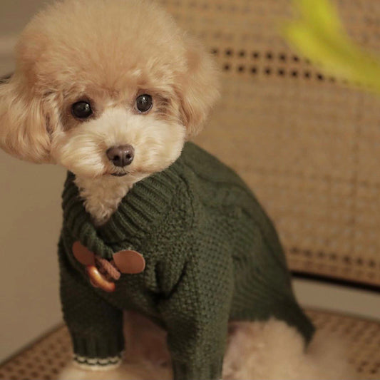 Knitted Sweater Teddy
